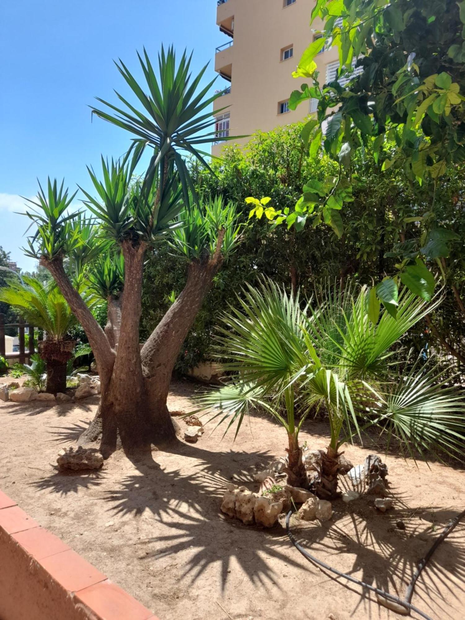 Torremolinos Centro Beach Exterior foto